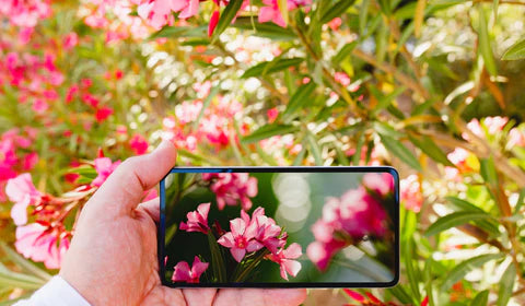 How can I take photos like DSLR background blur using mobile phones?