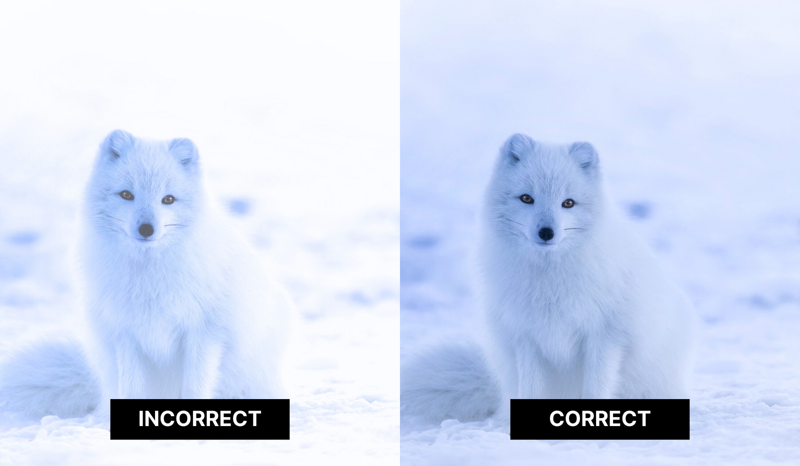 10 Best Winter Photography Tips