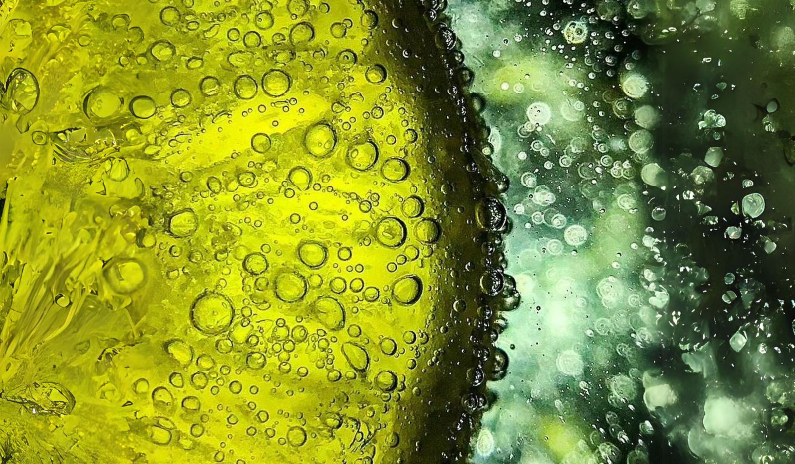 How to Capture Incredible Microscopic Shots with a Phone?