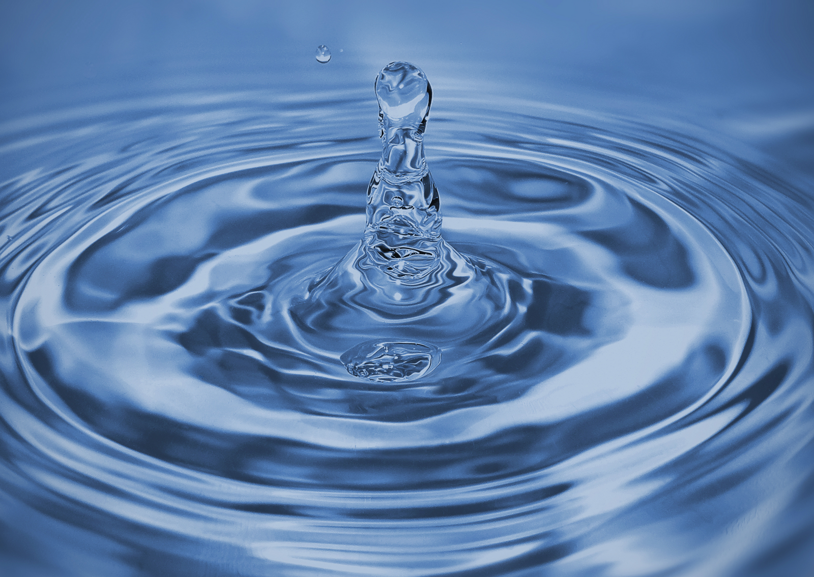 Wypełnianie klatki w fotografii mobilnej | Polish