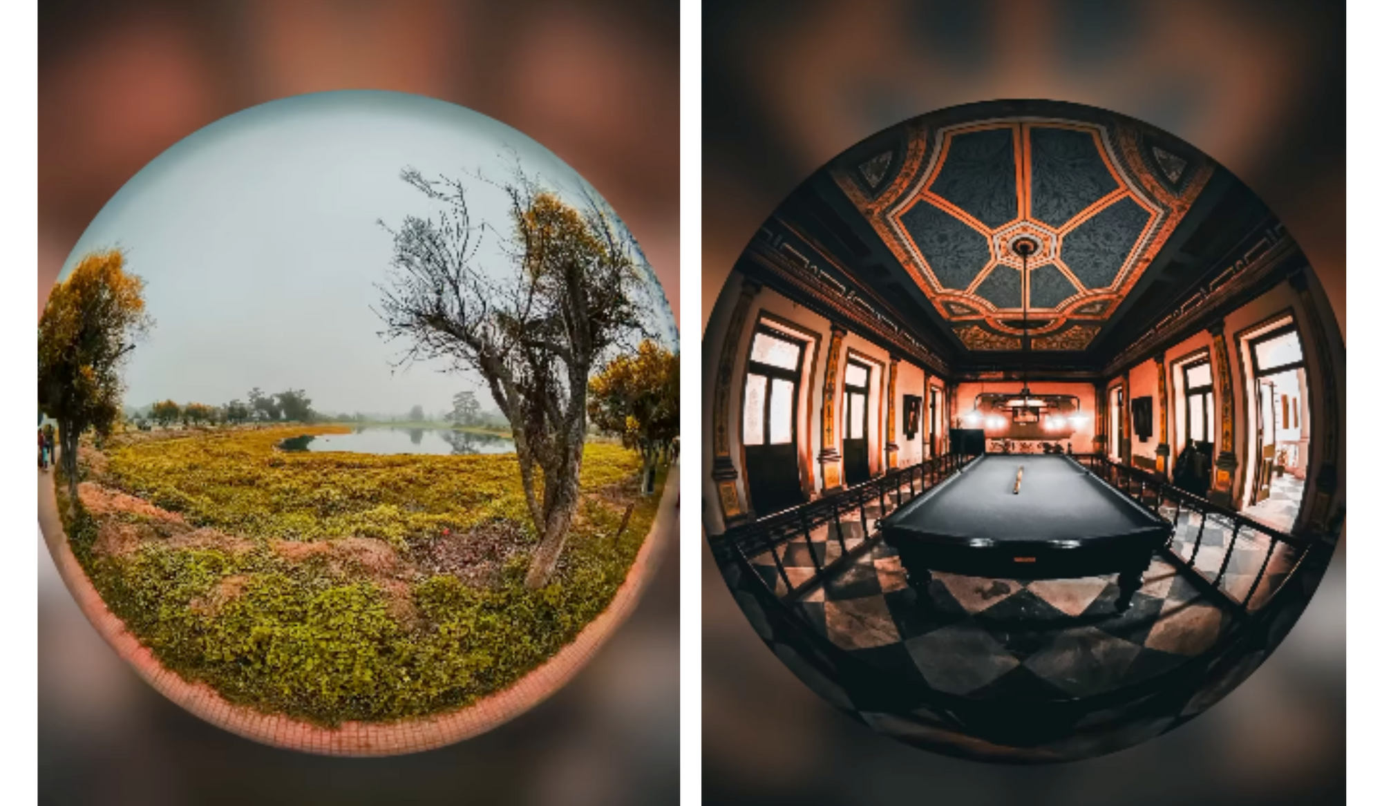 Three Fish Eye What's Everything You Need to Know About Fisheye Lenses? - Skyvik