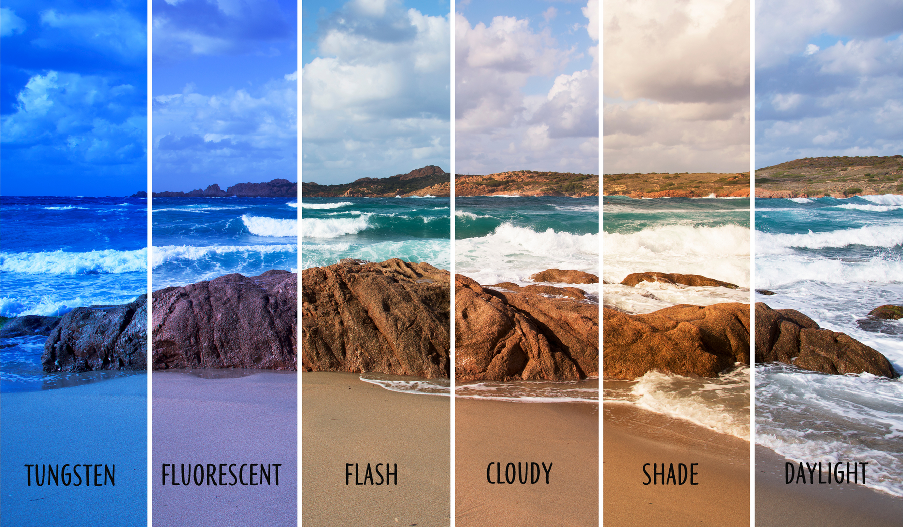 Balancing Act: Understanding the Importance of White Balance in Photography