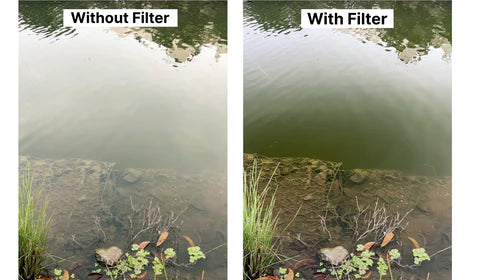Getting Rid of Reflections: The magic of CPL Filters on Your Photography